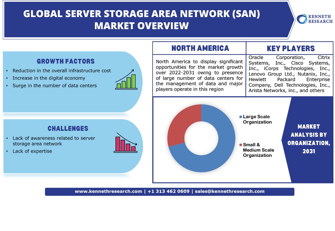 Server Storage Area Network (SAN) Market Analysis