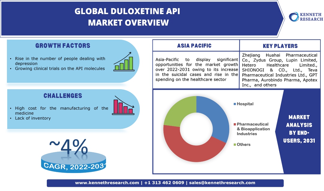 Global Duloxetine API Market Industry Analysis