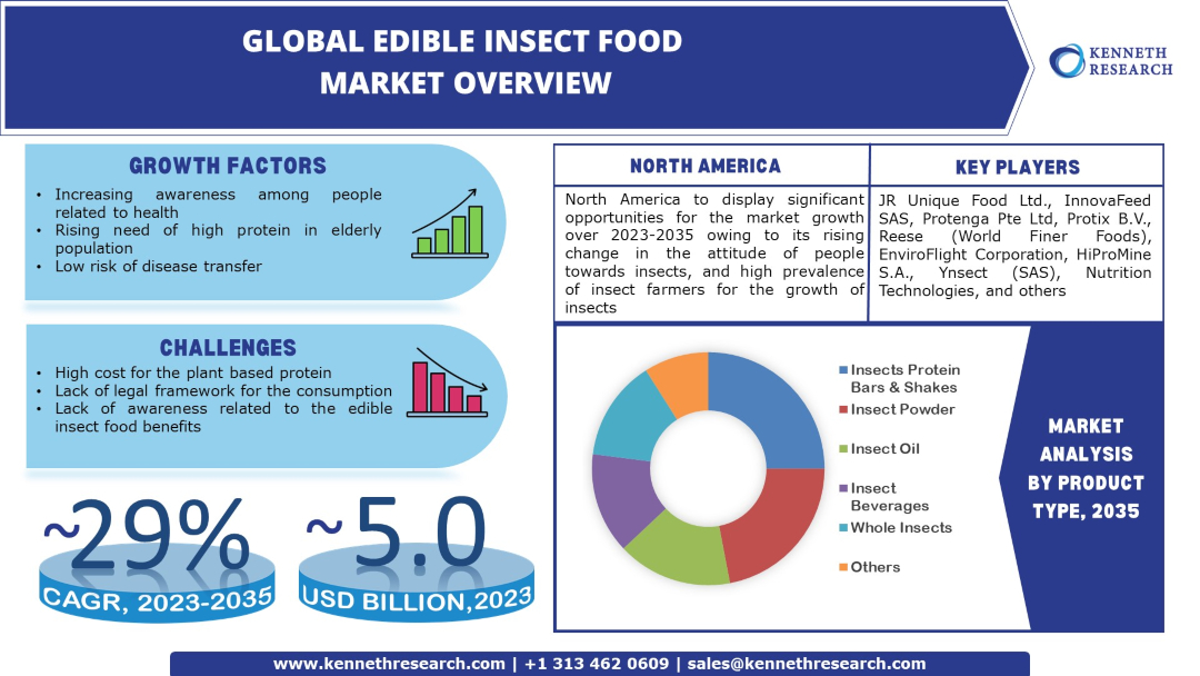 Edible Insect Food Market Industry Analysis