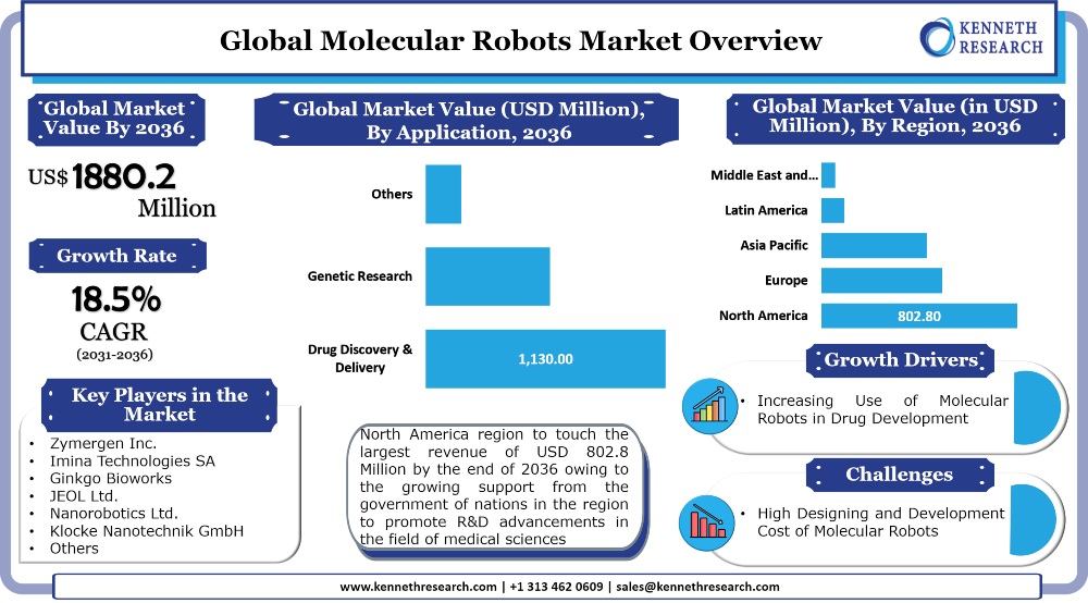 Global Molecular Robots Market 