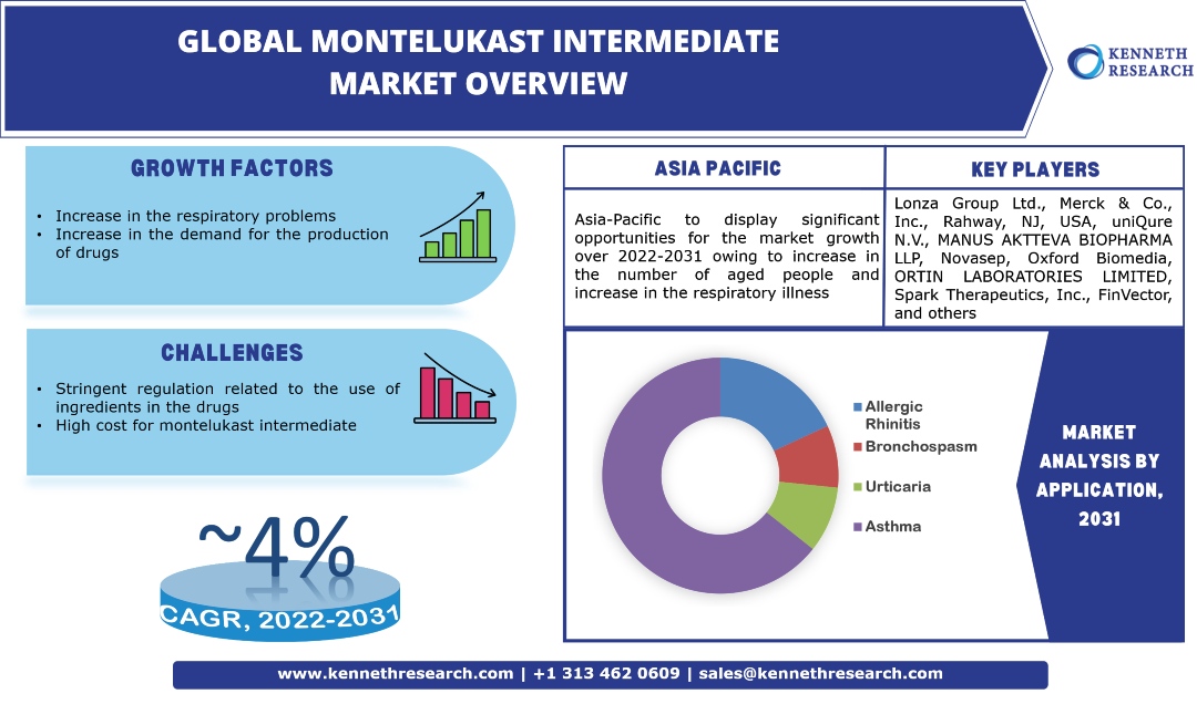 Global Montelukast Intermediate Market Industry Analysis & Scope