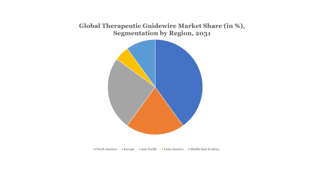 Therapeutic Guidewire Market Research Report